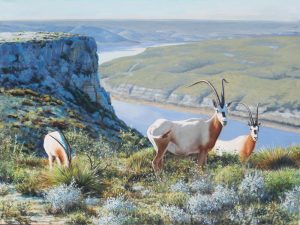 "Scimitar Horned Orex" <BR>30 x 40 "Scimitar Horned Orex" - African Game  African Game Paintings  Plains Game Art
